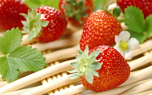 bunch of red strawberries