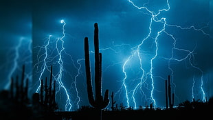 lightning strike HD wallpaper