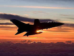 black jet plane, Panavia Tornado, jet fighter, airplane, aircraft
