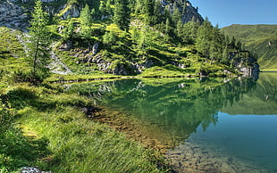 body of water surrounded by green trees and mountains during daytime