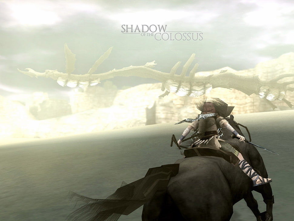 black and gray RC helicopter, Shadow of the Colossus, video games HD wallpaper