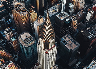 Empire State Building, New York, urban, cityscape, New York City, Manhattan HD wallpaper