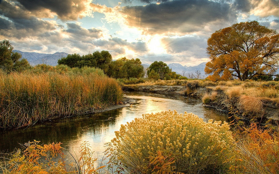 photo of river between green grass fields HD wallpaper