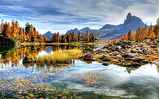body of water and trees and mountains, lake, fall, trees, sky