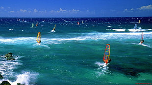 multicolored sail, windsurfing, water