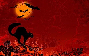 illustration of black cat, Halloween, black cats