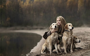 three short-coated brown dogs, blonde, trees, dog, looking away