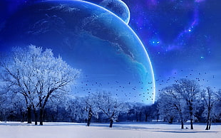 snow covered field and trees showing sky with planets