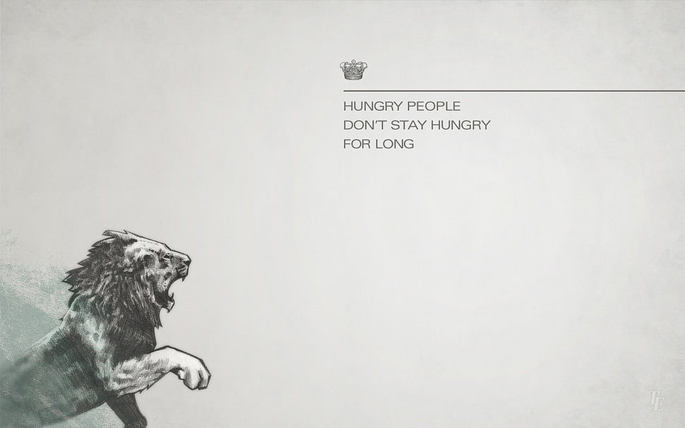 gray lion poster, typography, animals, artwork HD wallpaper