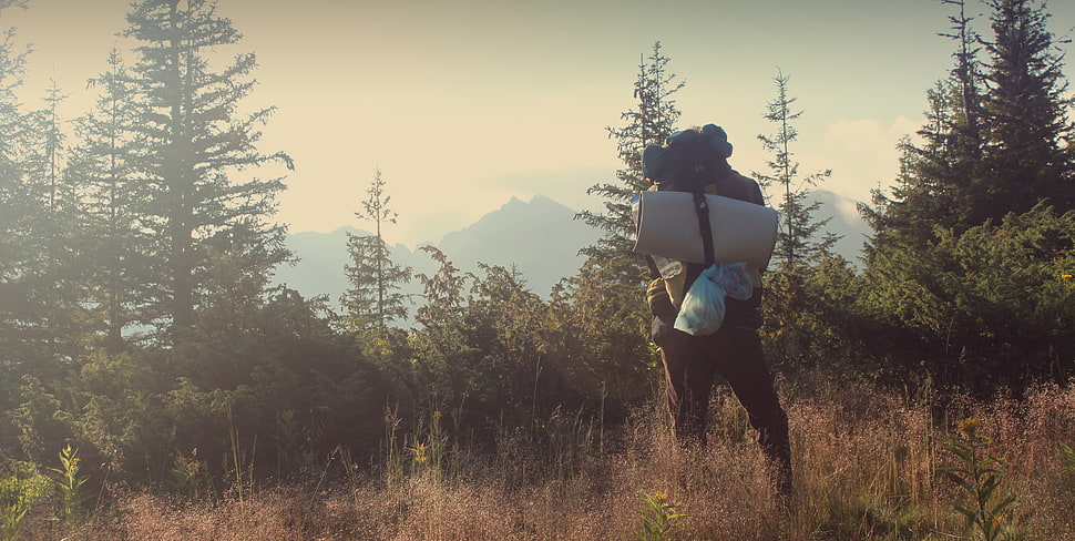 men's blue polo shirt, traveller, forest, bag, alone HD wallpaper