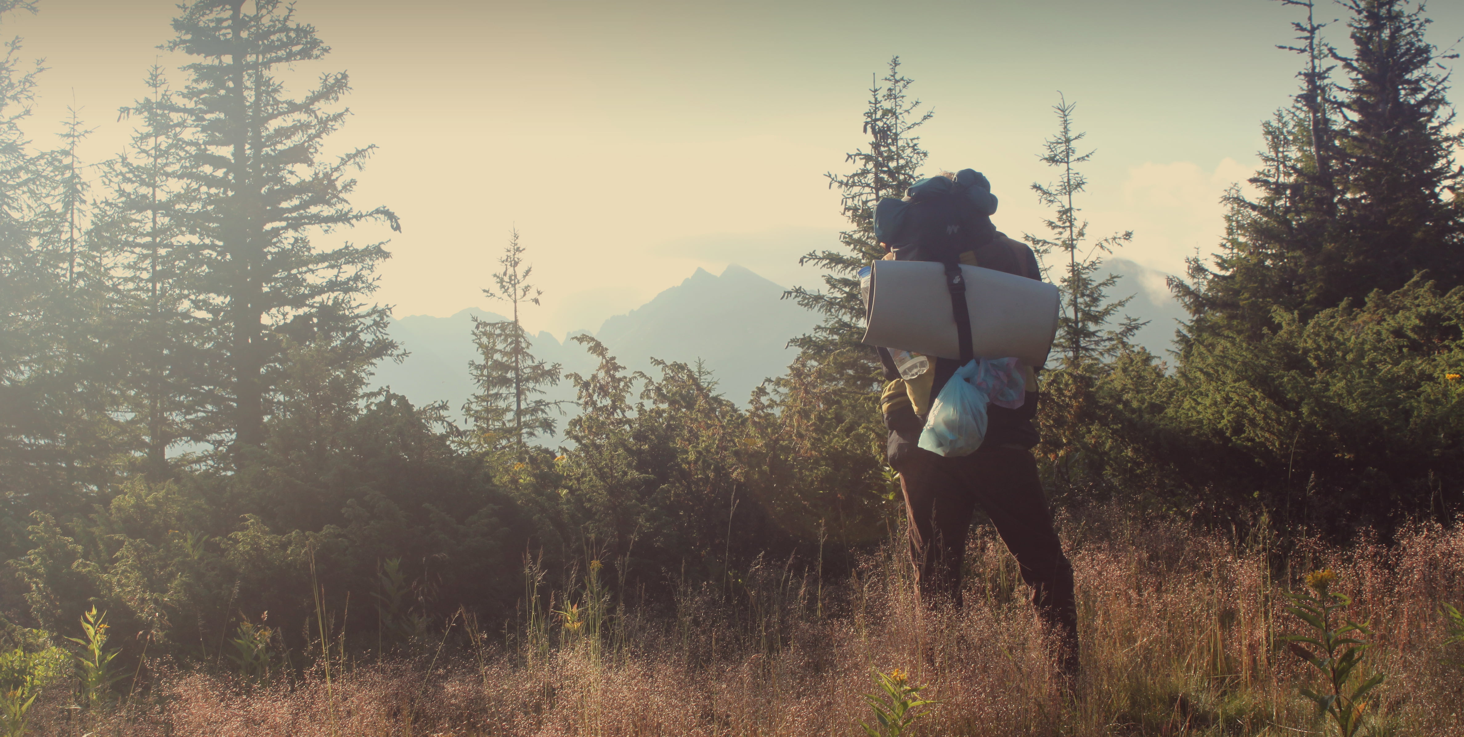 men's blue polo shirt, traveller, forest, bag, alone