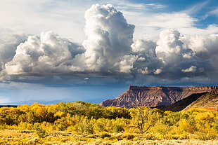cumulus clouds, Zion National Park, clouds, landscape, nature