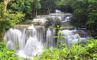 water falls, water, river, waterfall, plants
