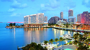 Miami,  Sea,  City,  River HD wallpaper