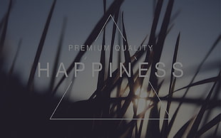 premium quality happiness text, grass, happiness, Photoshop, sunset HD wallpaper