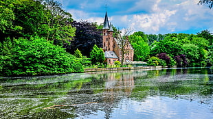 brown castle surrounded with trees digital wallpaper, lake, reflection, Brugge, Minnewater