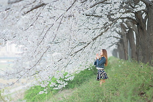 woman under white cherry blossom flowers