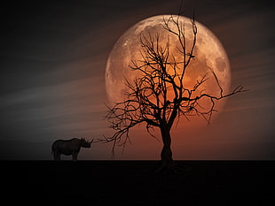 silhouette photo manipulation of Rhino near tree on a blood moon setting