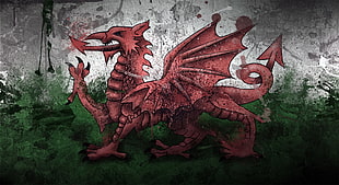 red dragon against gray and green background