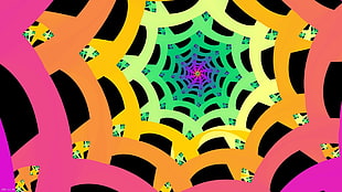 multicolored web wallpaper