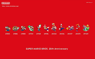 Super Mario Bros. 25th Anniversary