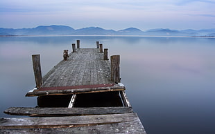 photo of gray wooden dock