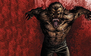 werewolf illustration