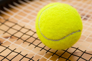 tennis ball HD wallpaper