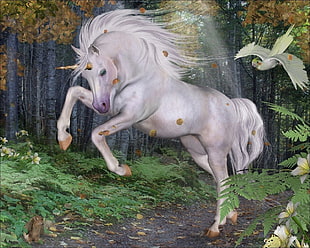 white unicorn wallpaper