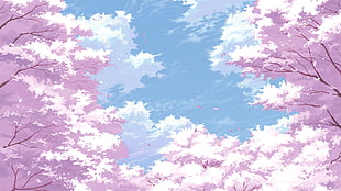 cherry blossom digital wallpaper, cherry blossom