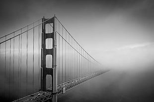 gray scale photo of bridge