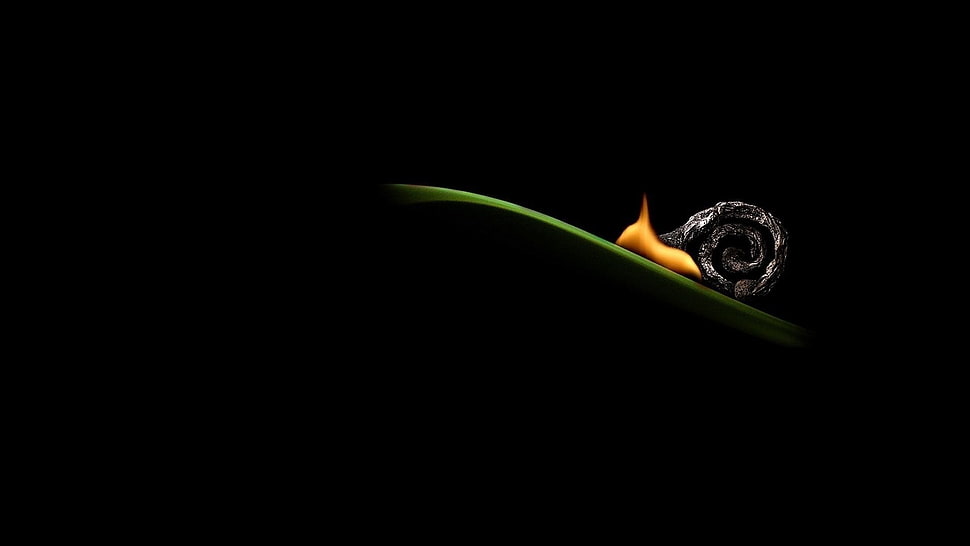 black and gray snail, creativity, artwork HD wallpaper