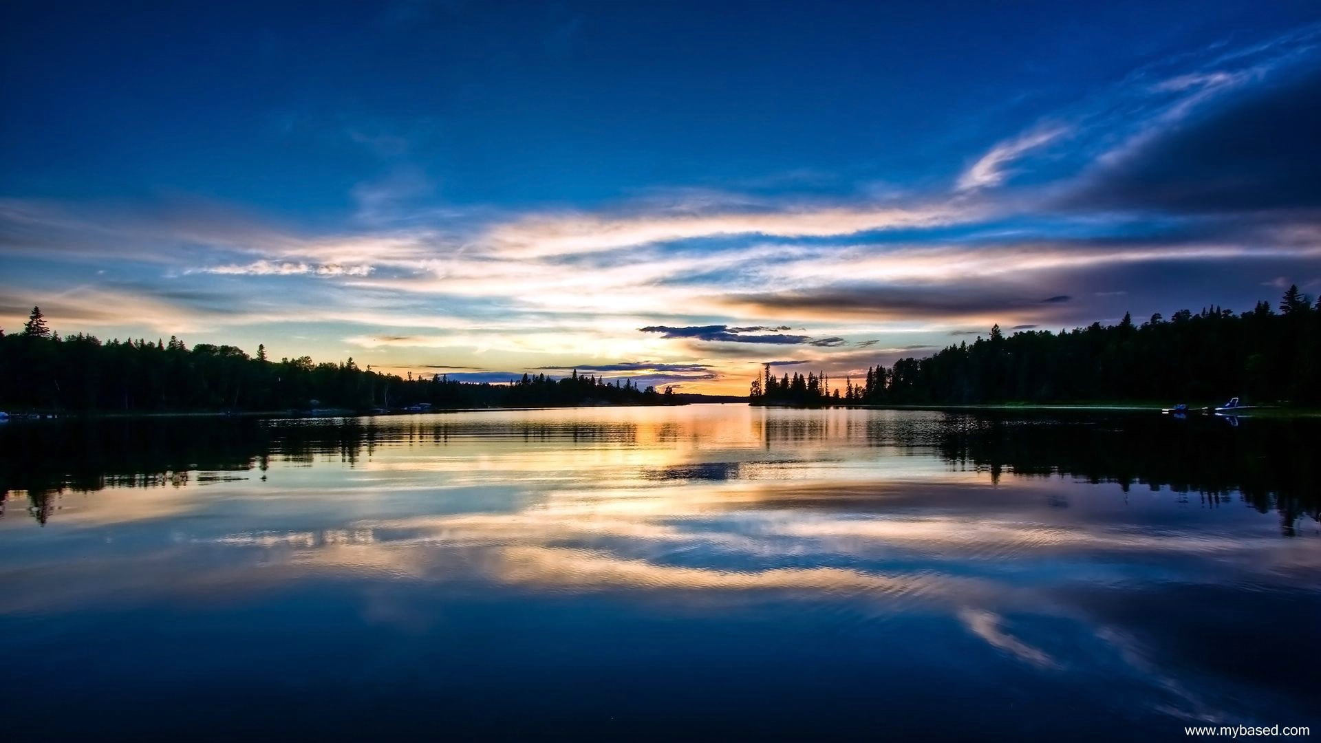 green pine trees, lake, water