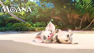 Disney Moana movie HD wallpaper