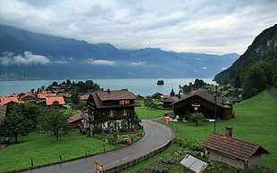 brown two-storey house, landscape, Switzerland, Iseltwald, Lake Brienz