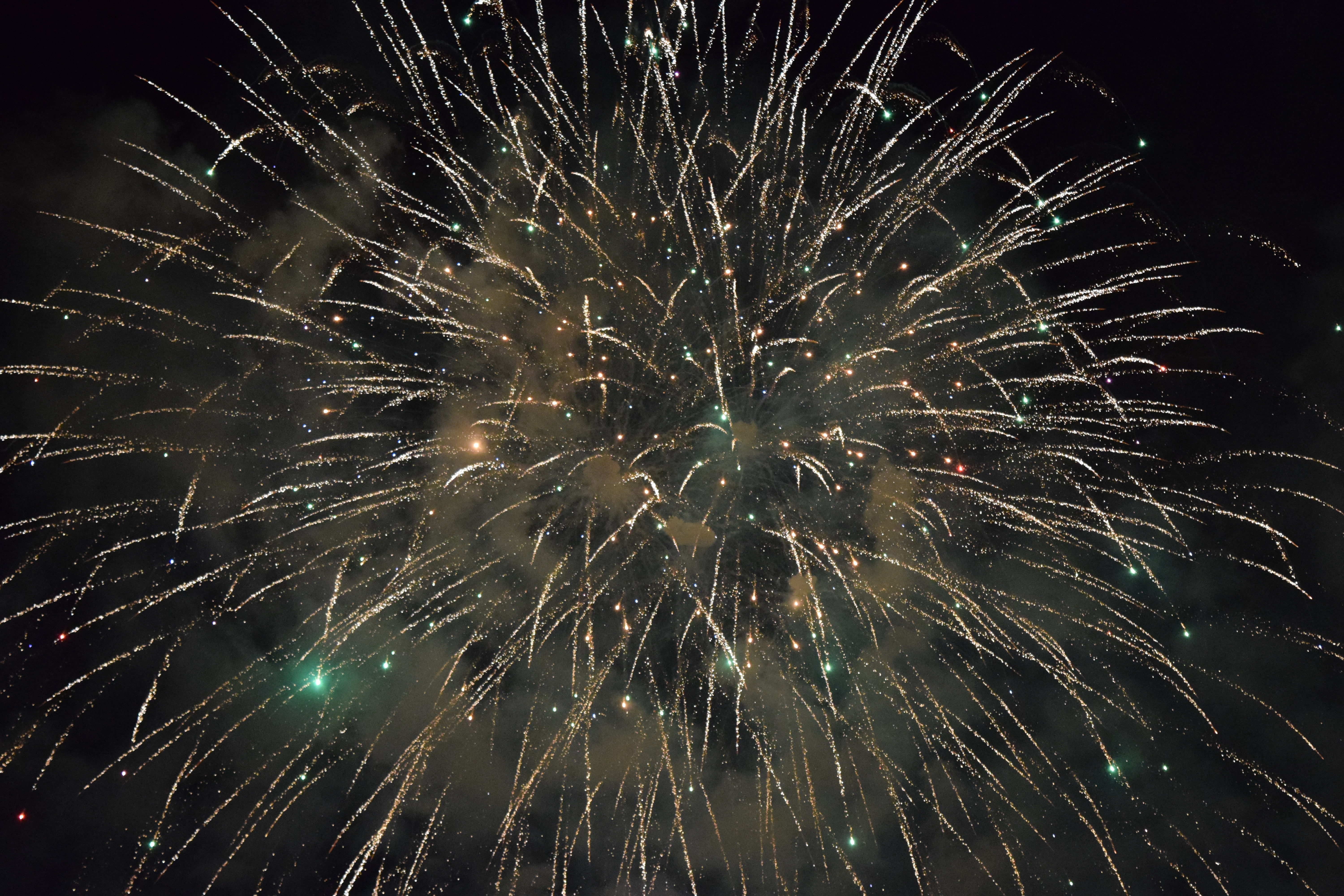fireworks display, Salute, Fireworks, Holiday