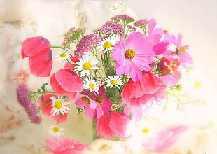 pink and red flowers