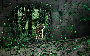 brown and black tiger, tiger, fantasy art, digital art HD wallpaper