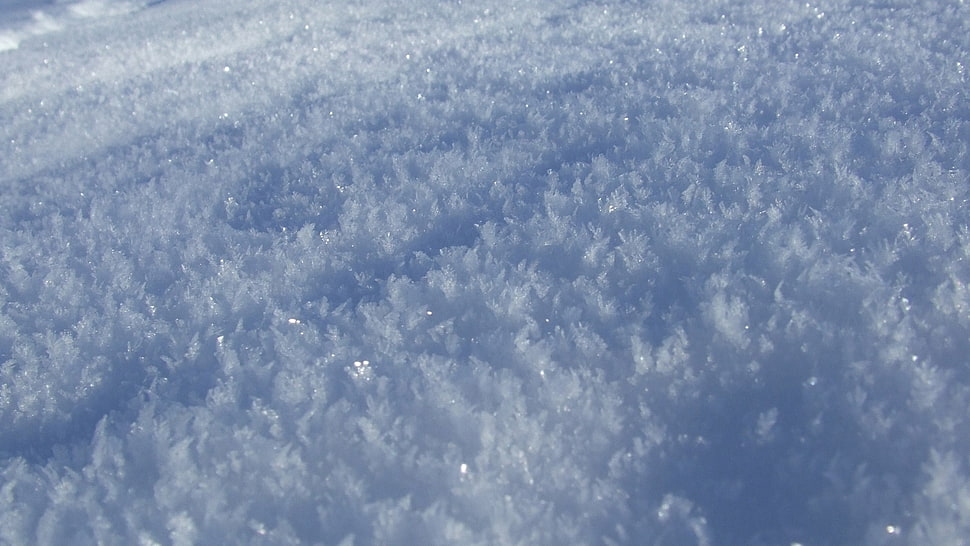 photo of field filled with ice HD wallpaper