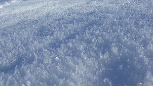 photo of field filled with ice