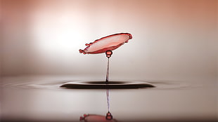 red drop of water, macro, water, water drops