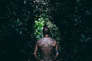 man with tattoo standing near plants HD wallpaper