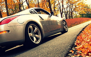worms eye view of silver coupe on black asphalt road HD wallpaper