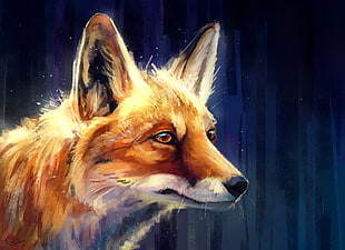 fox painting, fox, animals