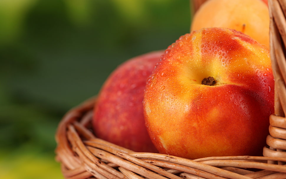 red apple fruit HD wallpaper