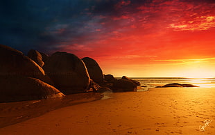seashore during sunset, sea, beach, sky