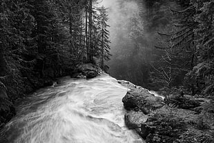 gray scale photo of river, nature, landscape, waterfall, forest