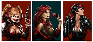 artwork, Catwoman, Harley Quinn, Poison Ivy