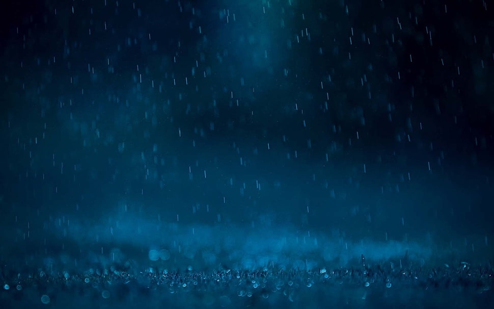 clear dew, rain HD wallpaper