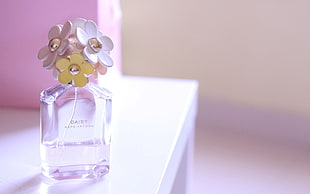 Daisy brand perfume bottle